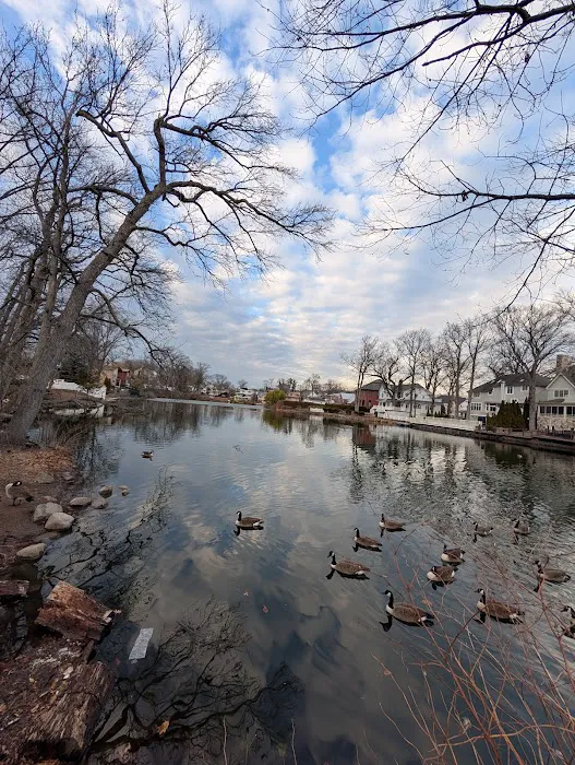 Cameron Lake Park Picture 2