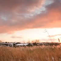Brookfield Park ico