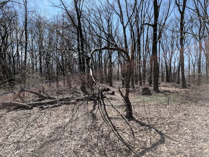 King Fisher Park Picture 6