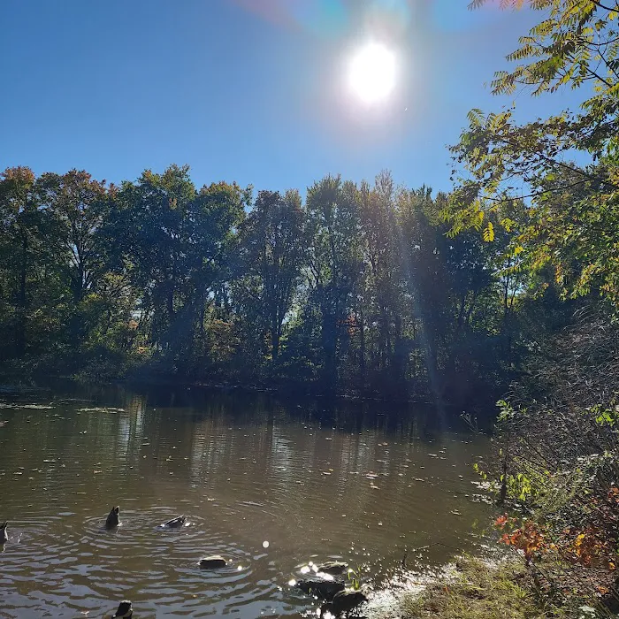 King Fisher Park Picture 3