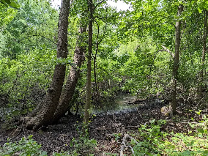 Willowbrook Parkway Picture 8