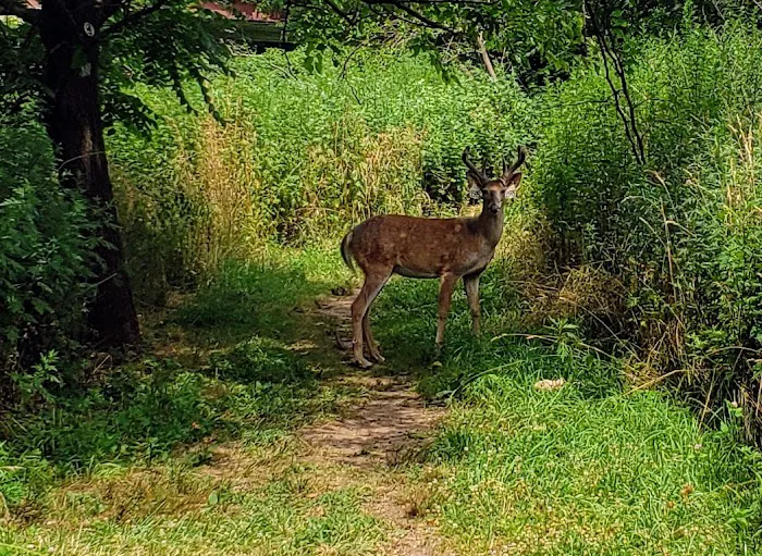 Willowbrook Parkway Picture 7