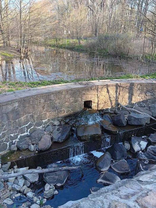 Willowbrook Parkway Picture 3