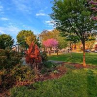 Manor Park ico