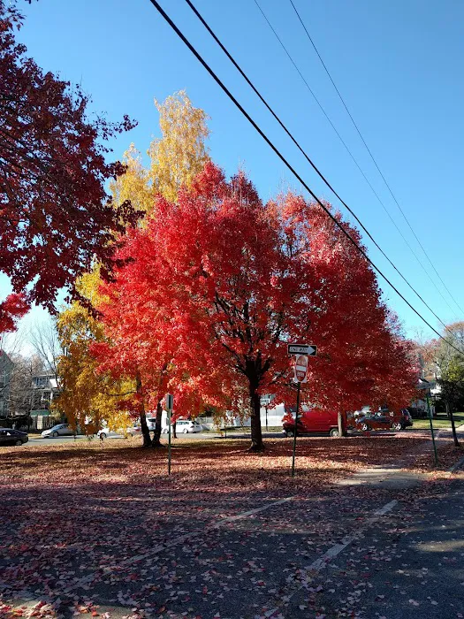 Washington Park Picture 2