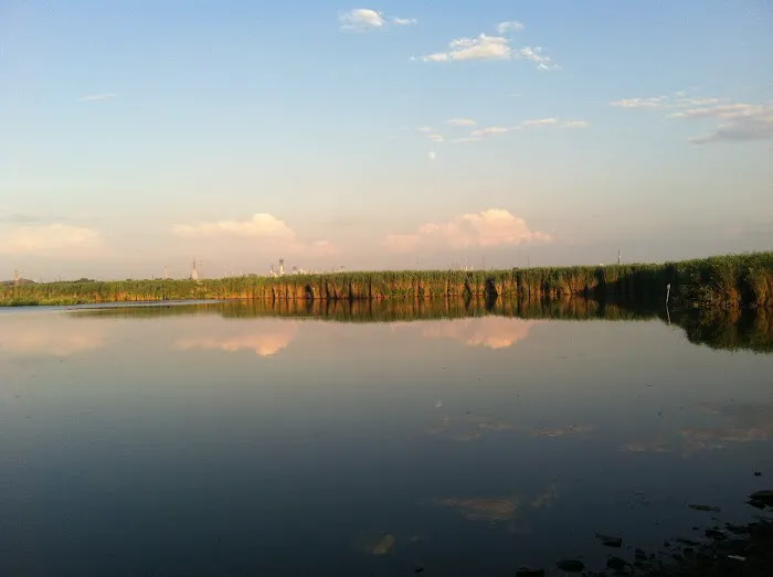 Gunnell Oval Picture 1