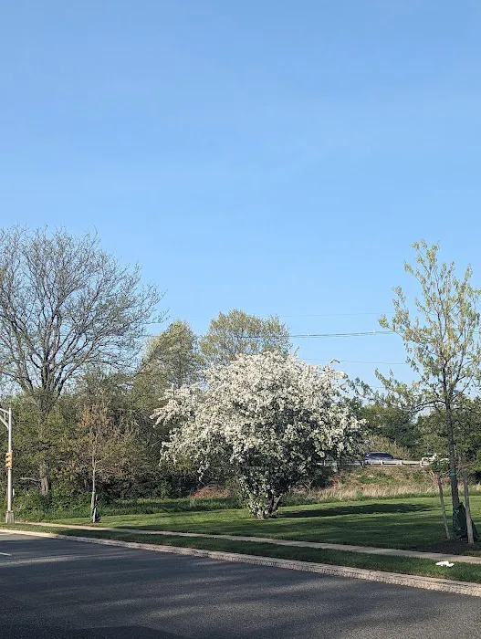 Frank A. Cardoza Park Picture 5
