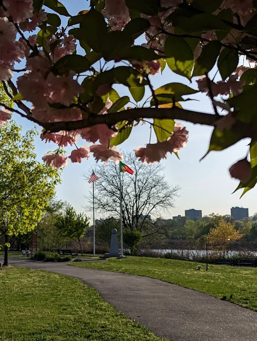 Frank A. Cardoza Park Picture 10