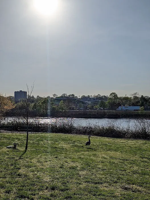 Frank A. Cardoza Park Picture 3