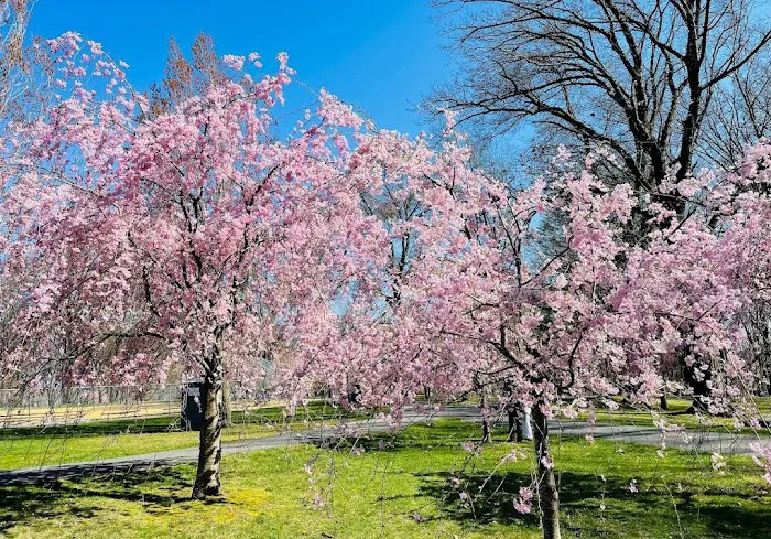 Belleville Park Picture 1