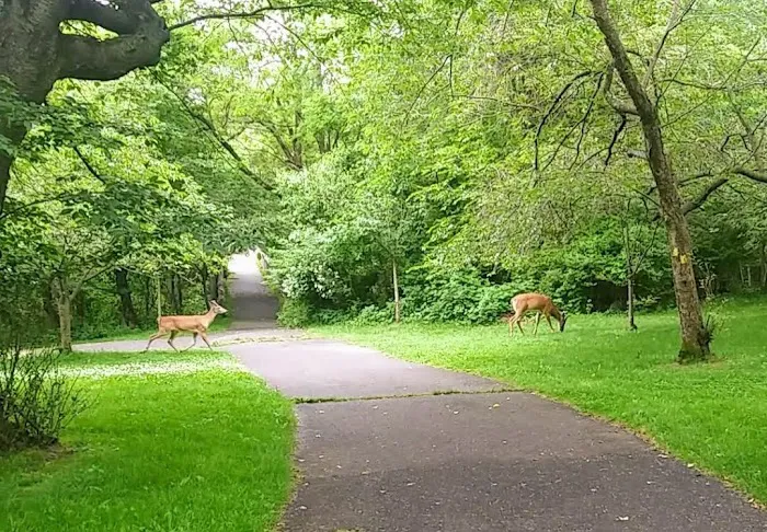 Belleville Park Picture 2