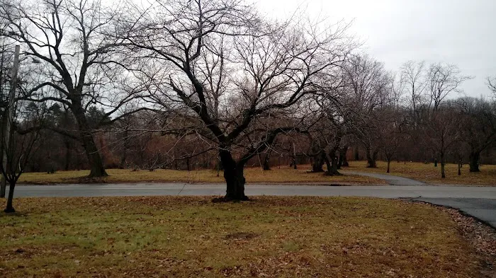 Belleville Park Picture 4