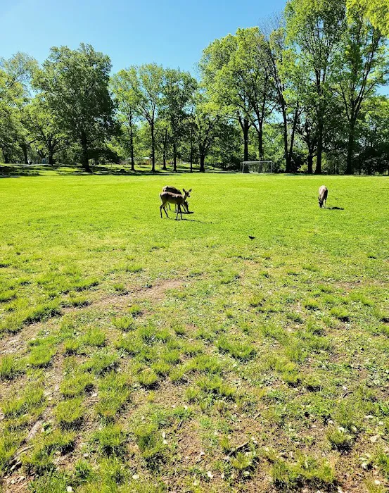 Belleville Park Picture 7
