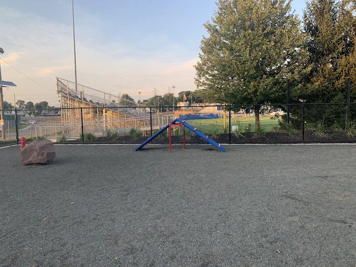 Belleville Dog Park Picture 2