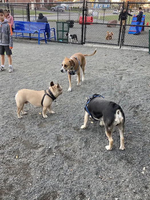 Belleville Dog Park Picture 3