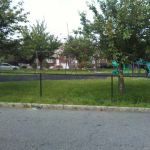 Park