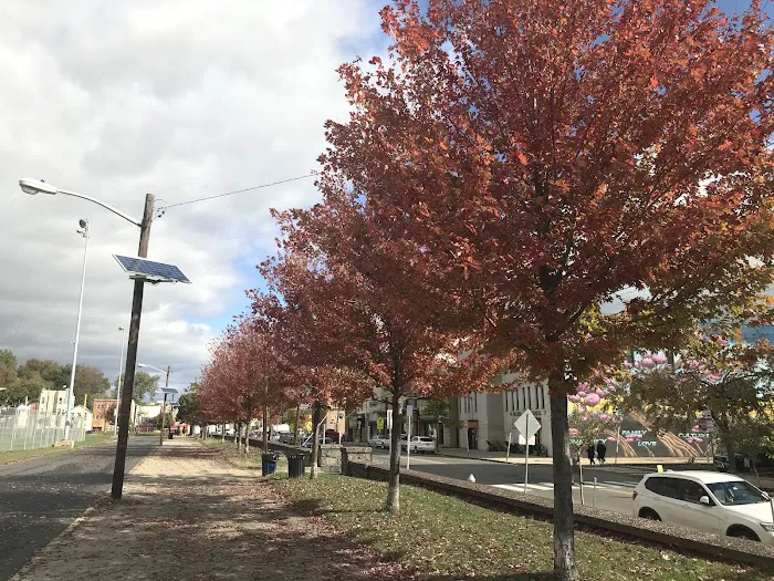 Pershing Field Park Picture 9