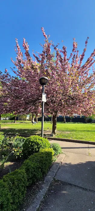 Pershing Field Park Picture 6