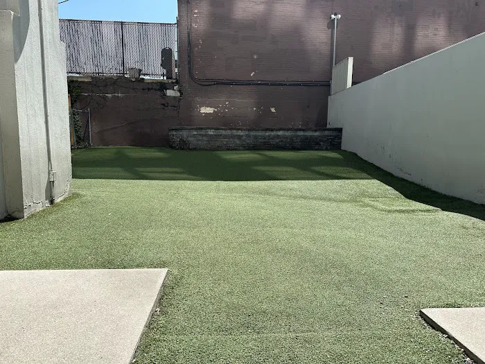 Canco Dog Run-Public Picture 1