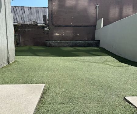 Canco Dog Run-Public