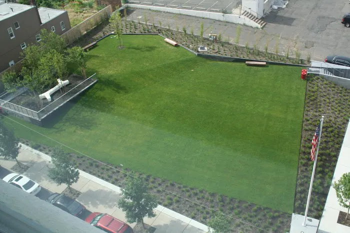 Canco Park Picture 8