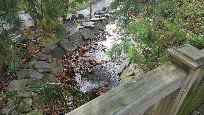 St John's Private Pond and Recreational Area Picture 2