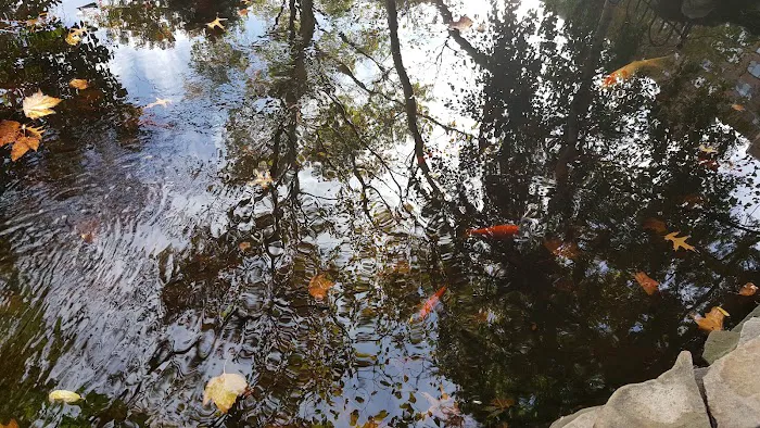 St John's Private Pond and Recreational Area Picture 1