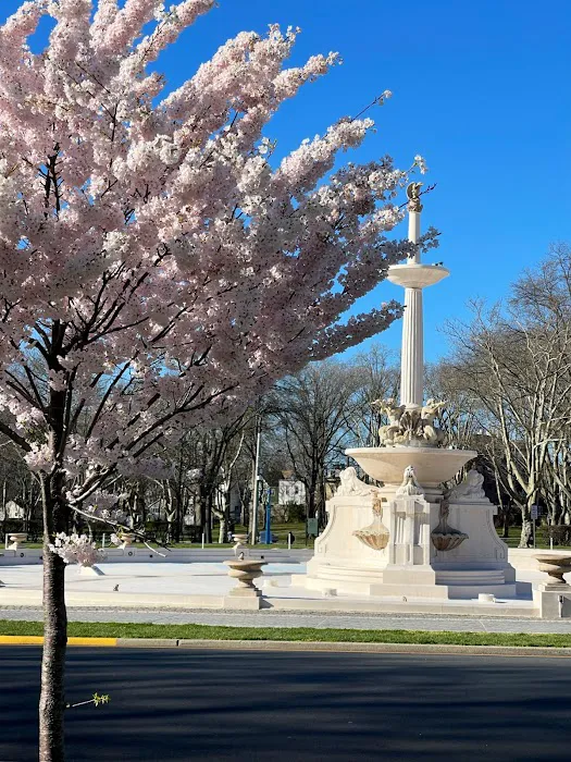 Lincoln Park Fountain Picture 5