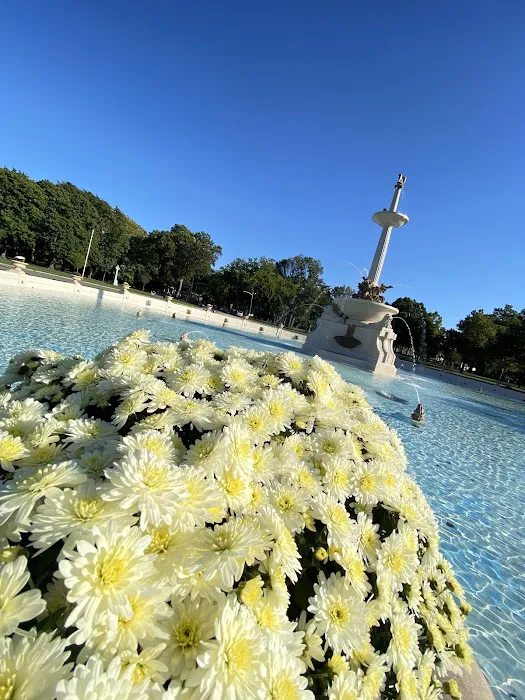 Lincoln Park Fountain Picture 7