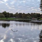 Edgewood Lake