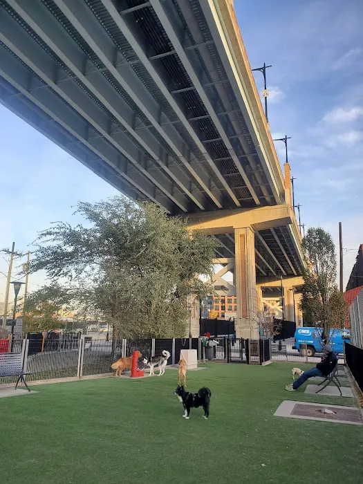 Viaduct Park Dog Park Picture 2