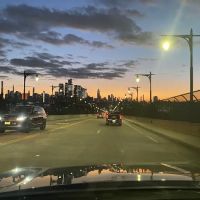 Viaduct Park Dog Park ico