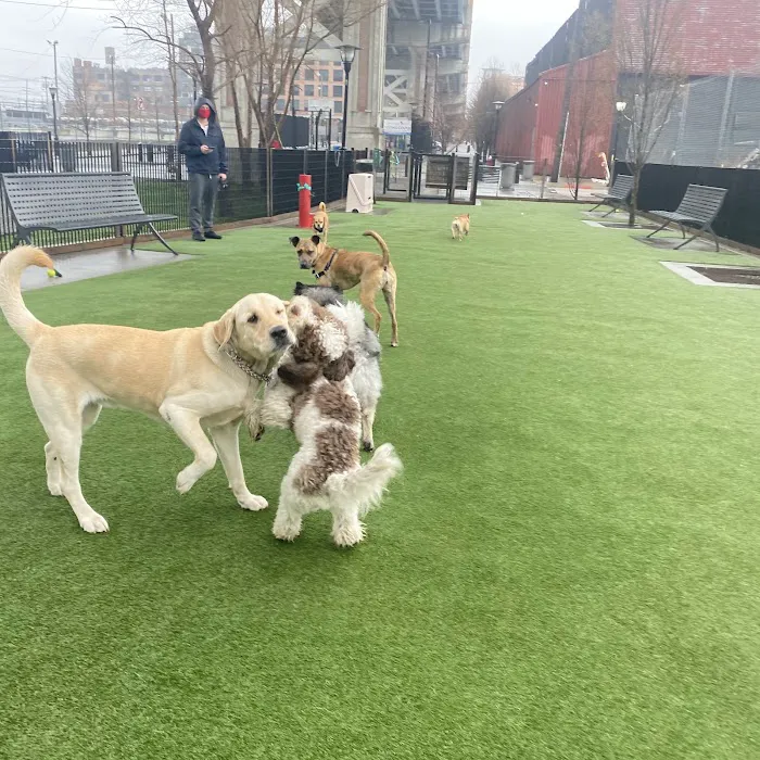 Viaduct Park Dog Park Picture 9
