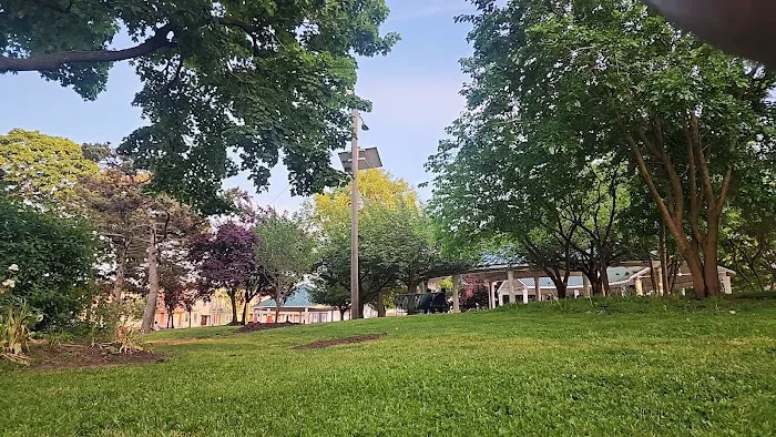 Washington Park Dog Run Picture 5