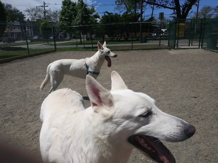 Washington Park Dog Run Picture 9