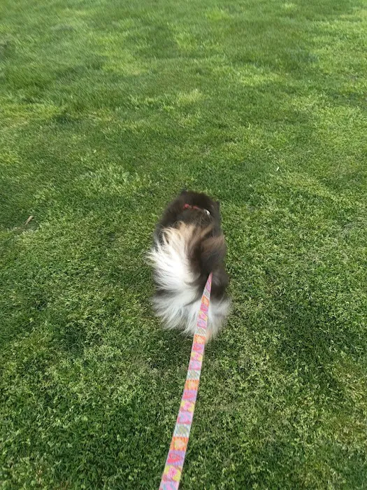 Washington Park Dog Run Picture 7