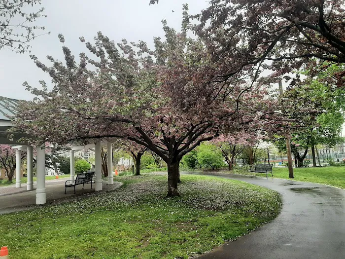 Washington Park Dog Run Picture 2