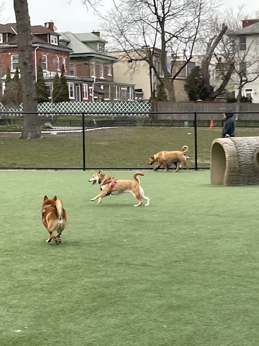 Washington Park Dog Run Picture 4