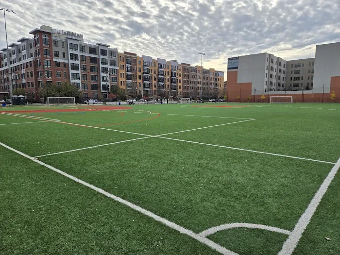 Northwest Resiliency Field Picture 3
