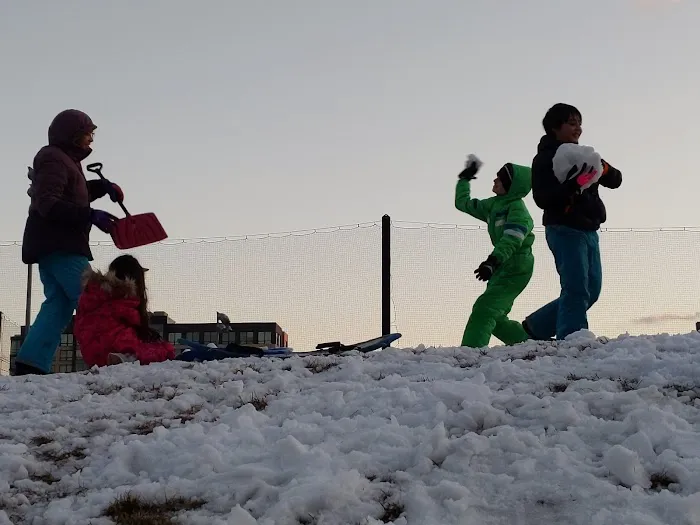 Sledding Hill Picture 1