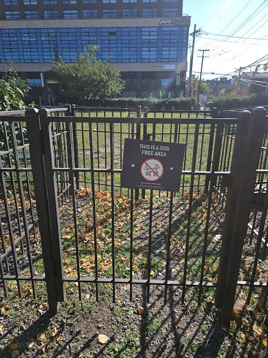 Dog run Picture 5