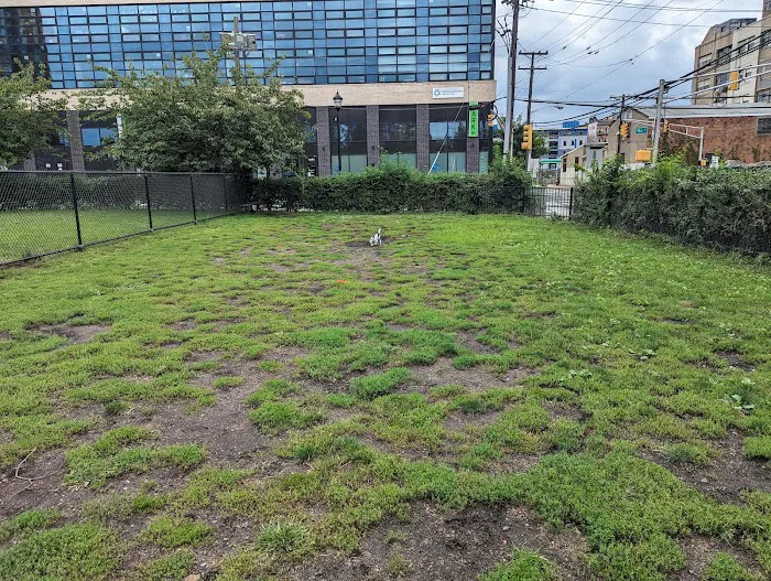 Dog run Picture 1