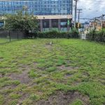 Dog run