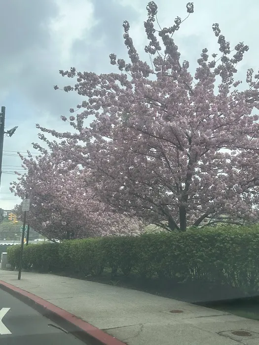 Harborside Park Picture 7