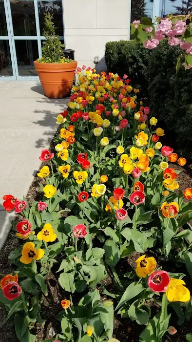 Harborside Park Picture 10