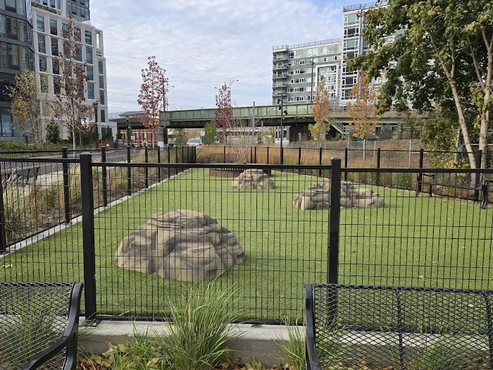 Dog Park Picture 1