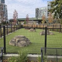 Dog Park ico
