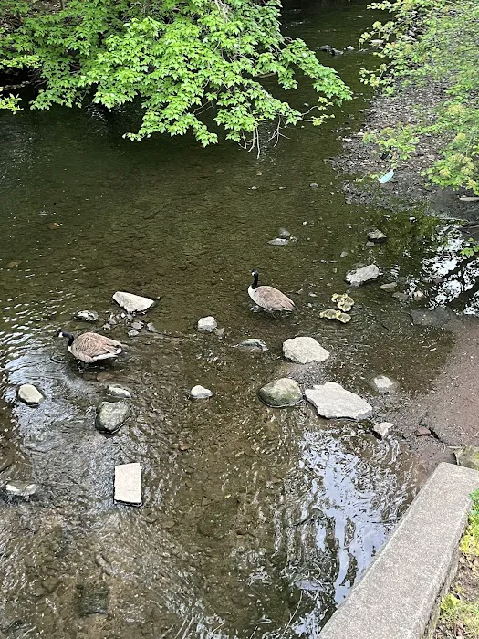 Booth Park Picture 8
