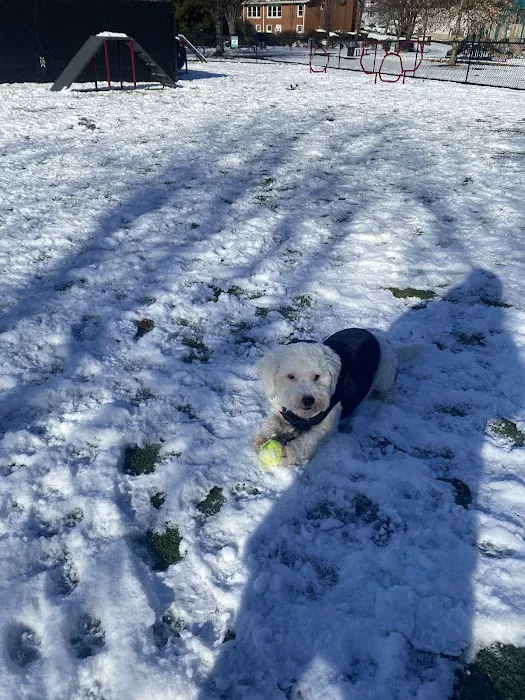 Nutley Dog Park Picture 2