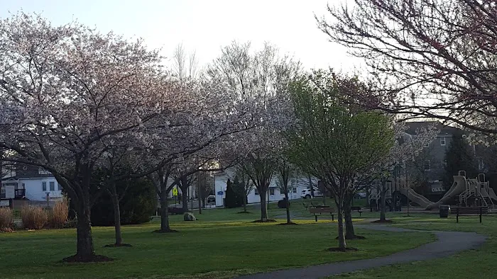 Reinheimer Park Picture 1